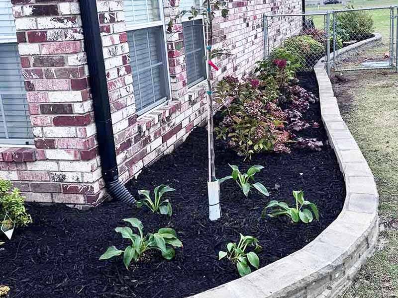 Landscape Design Services